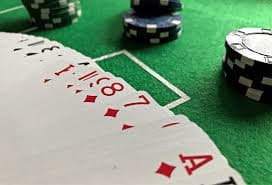 Dealer profesional di studio Live Blackjack jum toto menangani kartu dengan dealer multi-kamera view